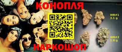 тгк Ставрополь
