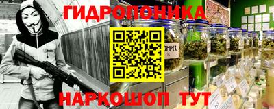тгк Ставрополь